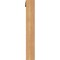 Ekena Millwork Funston Block Smooth Bracket w/ Offset Brace, Western Red Cedar, 3 1/2"W x 16"D x 24"H BKT0402X16X24FST05SWR - alternate 3